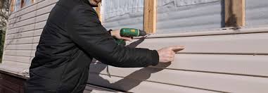 Best Siding for New Construction  in Wheaton, MN